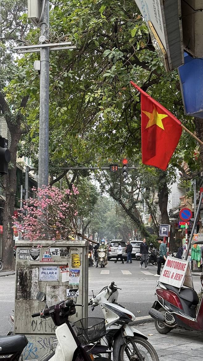 IMG_8855.jpeg 베트남가서 먹기만 하다가 온게 유머 1. (하노이)