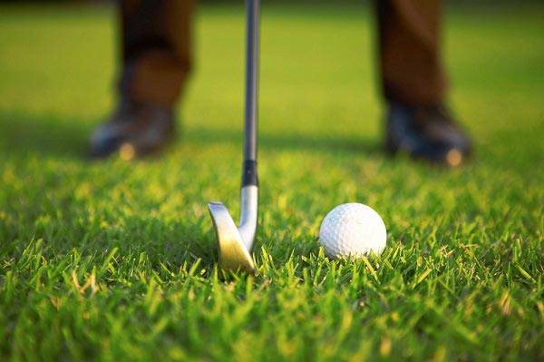 골프장 인근에 사는 사람은 파킨슨병 발병 확률이 두 배 이상으로 크게 증가한다는 연구 결과가 나왔다./사진=클립아트코리아