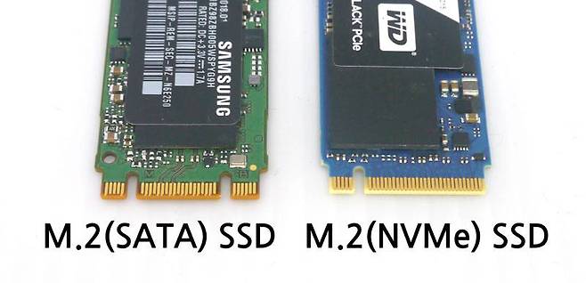 M.2(SATA) SSD와 M.2(NVMe) SSD는 거의 비슷하지만 커넥터 모양이 다름 / 출처=IT동아