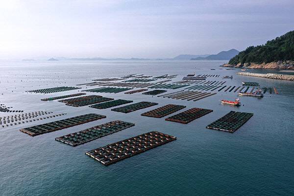 전복 양식장.