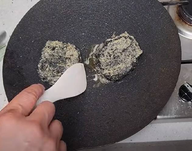A patty made from a mixture of lovebugs, flour and eggs. (YouTube)