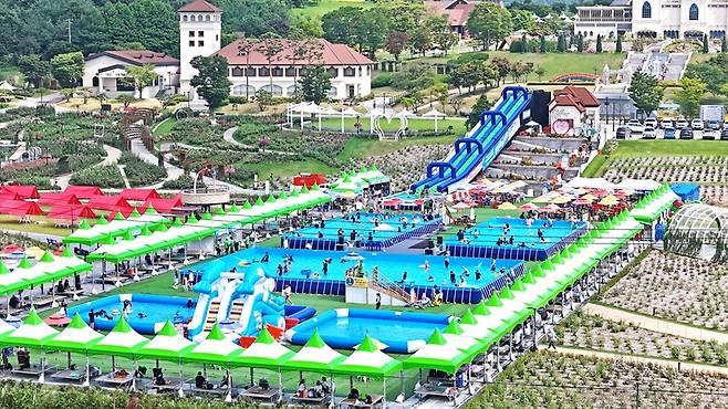 임실 아쿠아페스티벌 축제 현장