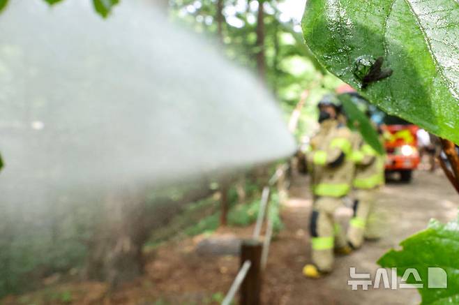 [서울=뉴시스] 권창회 기자 = 3일 서울 노원구 삼육대학교 인근 제명호에서 서울소방 관계자들이 '러브버그(붉은등우단털파리)' 방제작업을 하고 있다. 2025.07.03. kch0523@newsis.com
