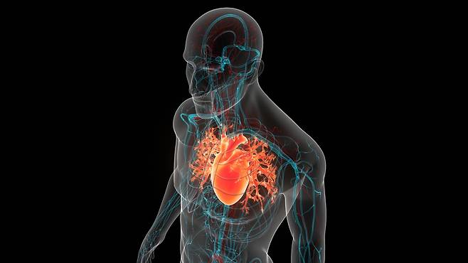 관상동맥 치료에는&nbsp;스텐트를 삽입하는 '경피적 관상동맥중재술(PCI)', 흉부를 열어 우회 혈관을 만드는 '관상동맥우회술(CABG)'이 대표적이다.&nbsp;