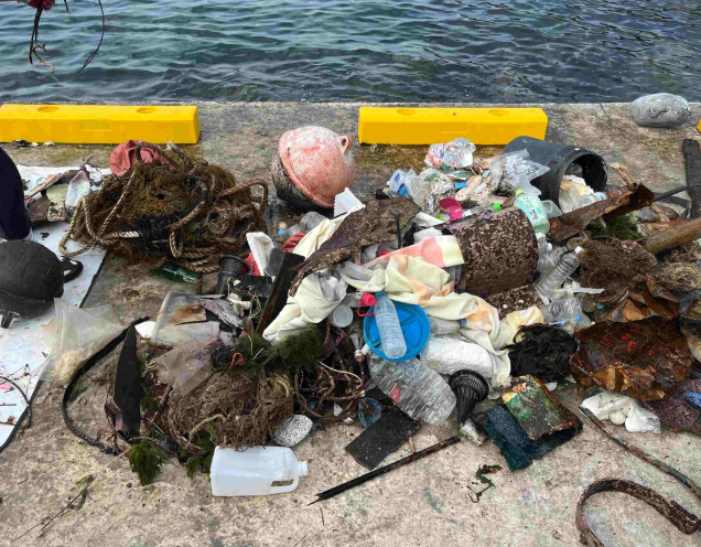 사진제공=환경재단