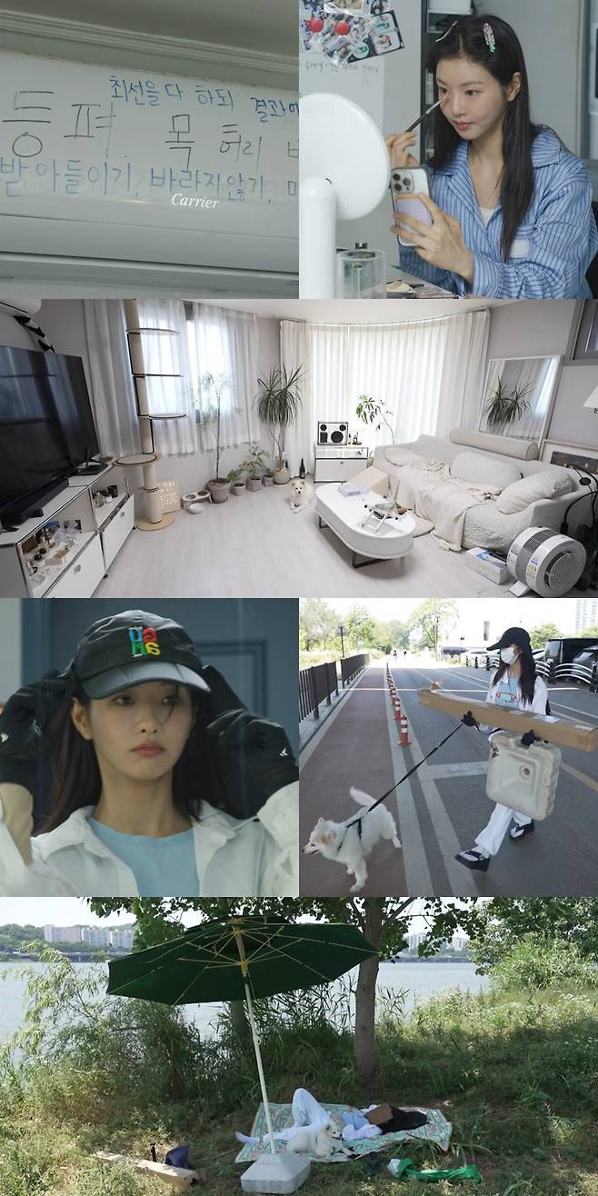 MBC 예능 프로그램 ‘전지적 참견 시점’