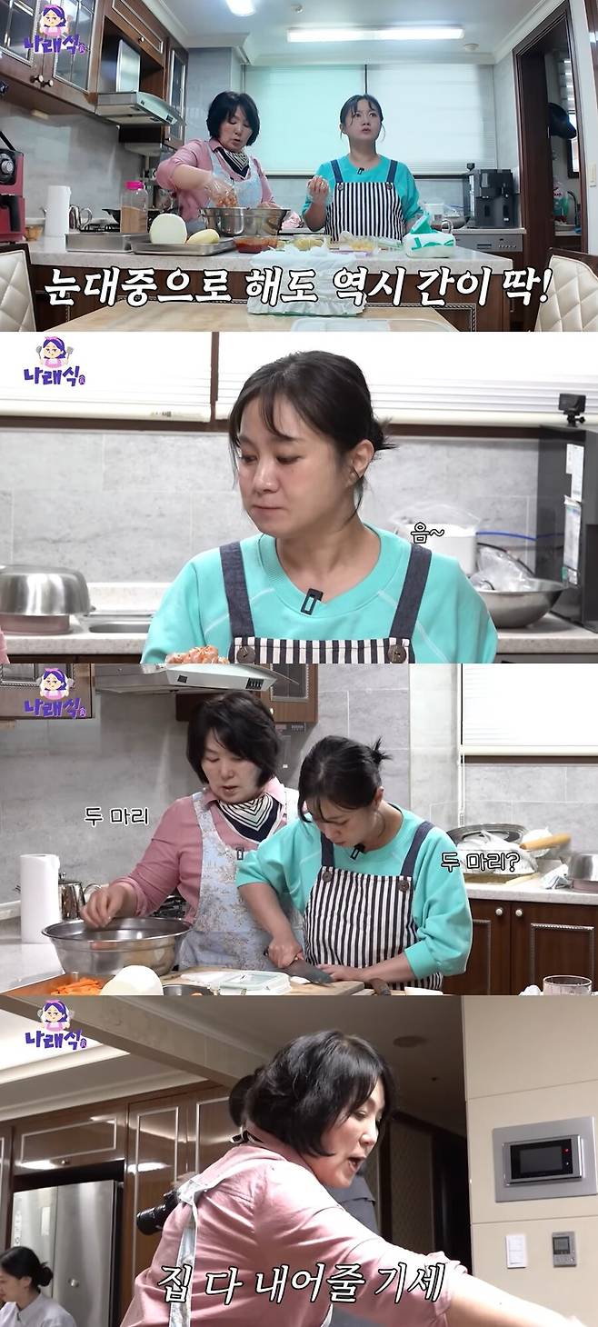 ▲ 제공|유튜브 나래식