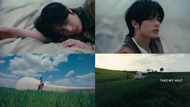 티브이데일리 포토