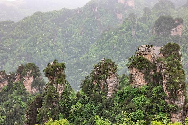 황스자이 [사진/백승렬 기자]