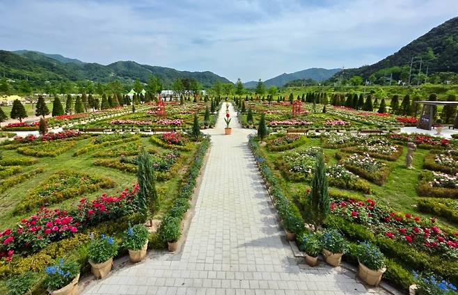 포천 한탄강 생태경관단지 [포천시 제공. 재판매 및 DB 금지]