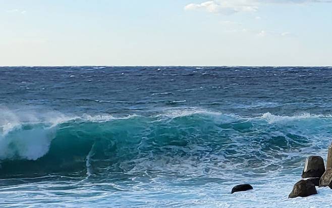 해경은 국민들이 위험할 것에 대비해 예보제를 시행한다. 울릉도 밀려드는 파도./김두한 기자