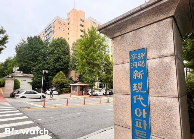 압구정2구역 신현대아파트./사진=김미리내 기자