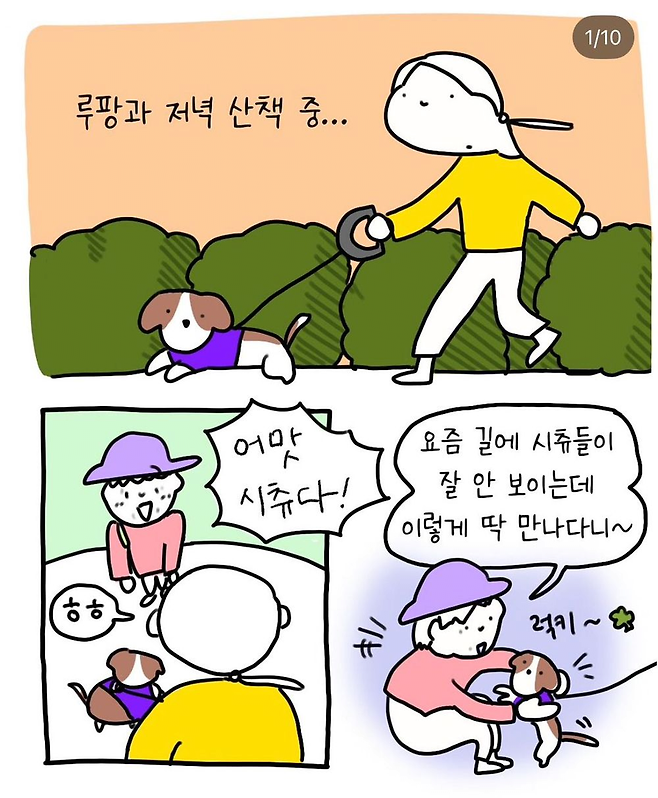 image.png 반려견 산책중 만난 아줌마 반려견 산책중 만난 아줌마 .jpg