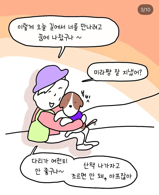 image.png 반려견 산책중 만난 아줌마 반려견 산책중 만난 아줌마 .jpg