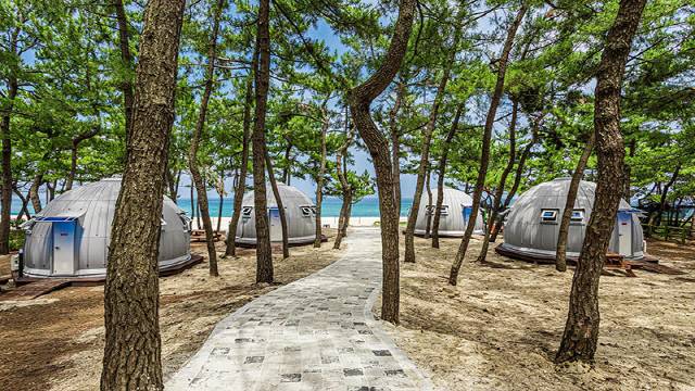 ▲ 강릉 연곡해변 솔향기캠핑장에 조성된 글램핑장