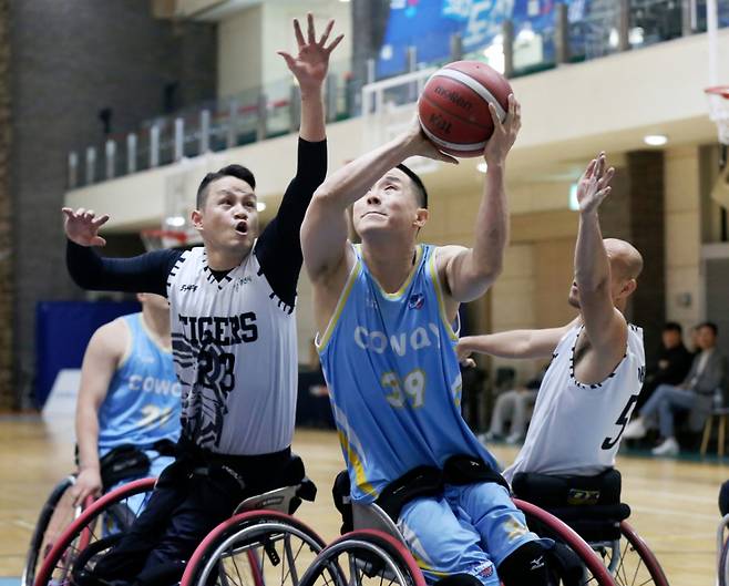 지난해 11월 오후 고양 재활스포츠센터에서 열린 '2024 KWBL 휠체어농구리그' 플레이오프 3차전 춘천타이거즈와 코웨이블루휠스 경기에서 코웨이 김상열이 골대를 향해 수비수를 제치고 슛을 쏘고 있다.  / 사진 = 한국휠체어농구연맹 제공
