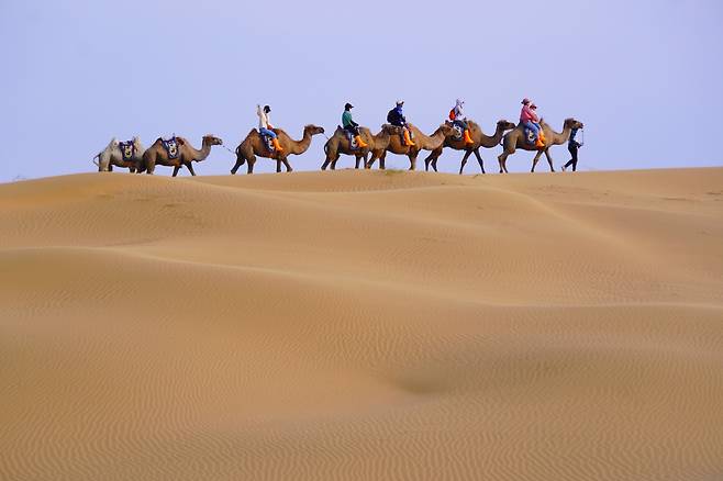 모두투어 오르도스 기획전에 참여하면 영화주인공 같은 낙타체험을 할수 있다.