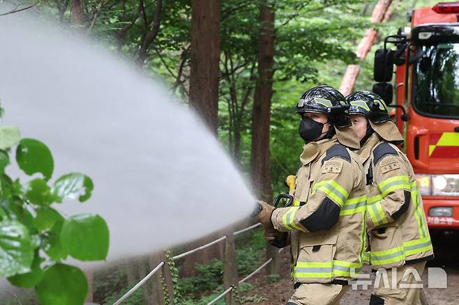 [서울=뉴시스] 권창회 기자 = 3일 서울 노원구 삼육대학교 인근 제명호에서 서울소방 관계자들이 '러브버그(붉은등우단털파리)' 방제작업을 하고 있다. 2025.07.03. kch0523@newsis.com