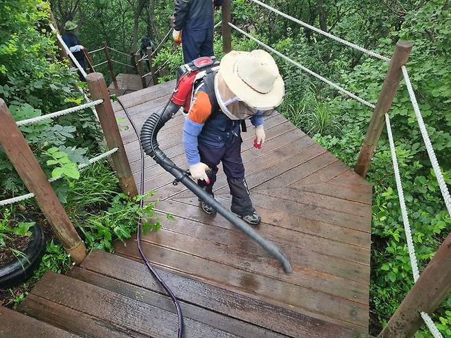 [서울=뉴시스] 4일 환경부 및 소속기관 직원들이 인천 계양구 계양산에서 러브버그(붉은등우단털파리) 성체를 제거하기 위해 송풍기와 포충망을 활용하여 방제 작업을 하고 있다. (사진=환경부 제공) 2025.07.04. photo@newsis.com *재판매 및 DB 금지
