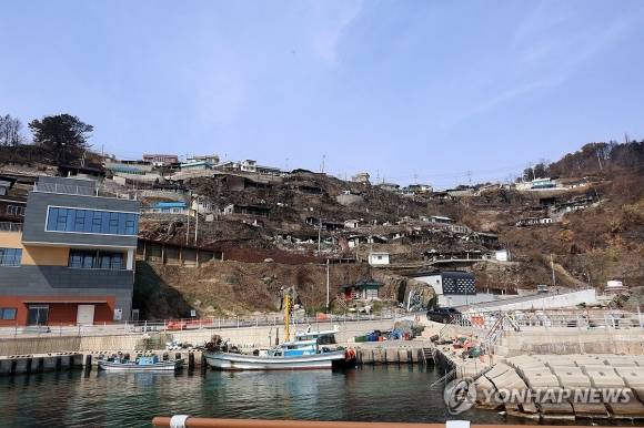 경북 영덕군 영덕읍 석리 따개비마을이 지난 3월 번진 산불로 여기저기 타 처참한 모습을 보이고 있다. 연합뉴스