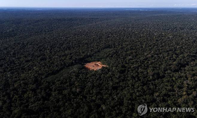 브라질 아마존 열대우림 [EPA 연합뉴스 자료사진. 재판매 및 DB 금지]