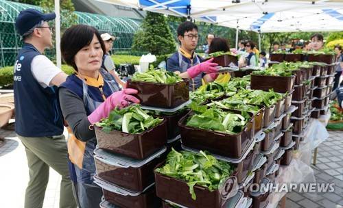 시원한 물김치로 여름 나세요     (서울=연합뉴스) 27일 서울 동대문구청 광장에서 열린 '소외계층을 위한 여름 물김치 담그기'에서 현대해상화재보험 직원, 동대문구 자원봉사자들이 함께 소외계층에게 전달할 여름 물김치를 담그고 있다. 
    동대문구는 이날 열무 물김치 300통을 만들어 관내 280세대와 다문화가정 20세대 등 총 300세대에 전달한다고 밝혔다.  2017.5.27   [동대문구 제공=연합뉴스]
    photo@yna.co.kr