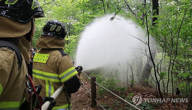 물뿌리면 죽어요!...러브버그 방제 (서울=연합뉴스) 최재구 기자 = 지난 3일 서울 노원구 공릉동 삼육대학교에서 소방대원들이 물을 뿌리며 러브버그 현장 방제활동을 하고 있다. 관계자는 러브버그 퇴치는 날개가 약한 개체의 특성으로 나뭇잎 아래쪽에 살수하는 것으로 충분하다고 전했다.  2025.7.4 jjaeck9@yna.co.kr