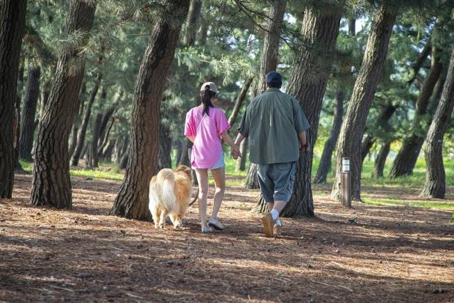 화성 궁평오솔로파크 [경기관광공사 제공. 재판매 및 DB 금지]
