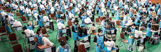 2단3-반려동물과 예술의 만남