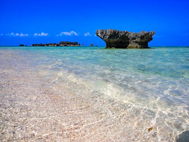 오키나와 장수의 비결은 제철 채소, 콩류, 통곡물 중심의 단순한 식단과 배부르기 전 멈추는 ‘80% 식사 원칙’에 있었다. 천천히 함께 식사하며 절제하는 오키나와의 식문화는 만성질환 예방과 건강한 노화에 좋다. (사진=게티이미지뱅크.)