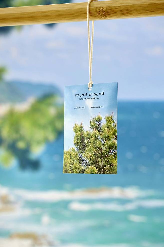 라운드어라운드 센티드 샤쉐 강릉 소나무 제품 연출 이미지. 올리브영 제공