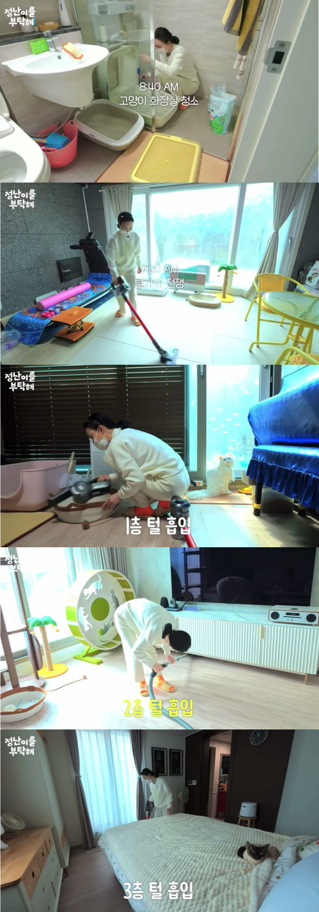 고양이 털 정리를 위해 청소기를 돌리고 있는 배우 김정난. 유튜브 '정난이를 부탁해' 캡처