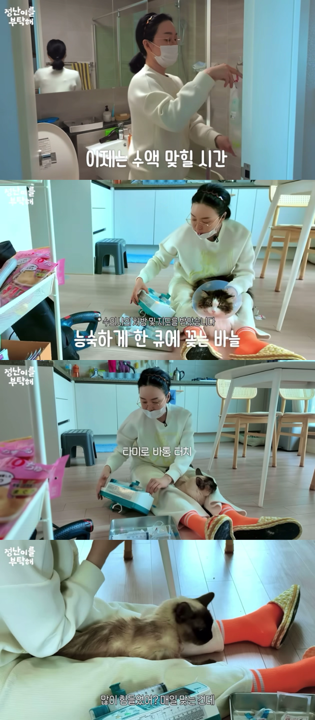 배우 김정난이 반려묘에게 수액을 맞히고 있는 모습. 유튜브 '정난이를 부탁해' 캡처