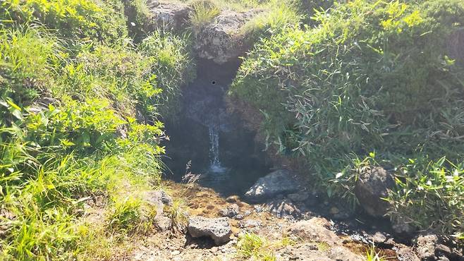 국내 최고(最高) 한라산 백록샘 (사진, 신동원 기자)