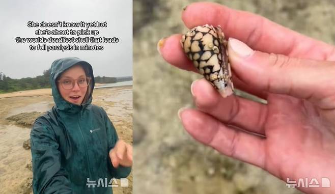 미국의 인플루언서 베킬리 롤스(왼쪽)와 롤스가 일본 오키나와 해변에서 주운 '원뿔달팽이. /사진=뉴시스