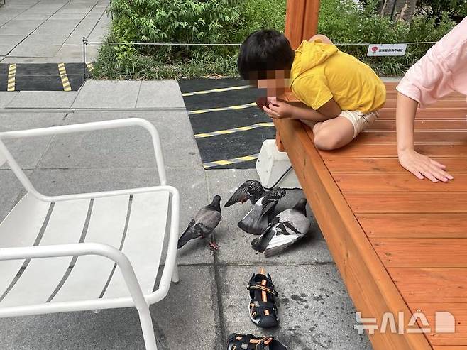 [서울=뉴시스]이채은 인턴기자 = 4일 오후 비둘기 먹이 주기가 금지된 서울 종로구 광화문 광장에서 외국인 관광객이 비둘기에게 빵을 뜯어주고 있다. 2025.07.04