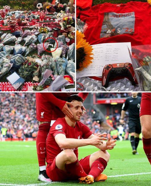 [사진] 스포츠 바이블