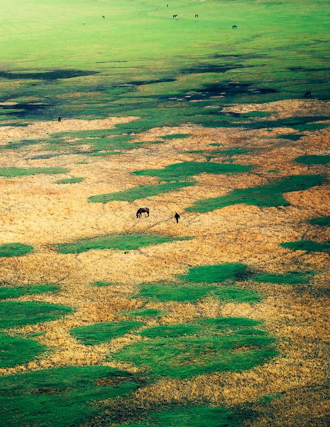 샹그릴라의 너른 초원. 티베트 불교는 모든 생명체를 존중한다. 동물을 묶거나 가두는 행위를 금기하는 문화이기 때문에, 초원 어디에나 동물이 풀을 뜯고 있다. 사실 이는 종교적인 이유뿐만은 아니다. 가축들이 자유롭게 풀을 뜯고 이동할 수 있는 초원이 어디에나 있으며, 겨울철 혹독한 추위와 눈으로 인해 오히려 가축을 묶어 두는 것이 위험하다고 한다.