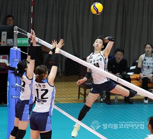 대구시청 이예솔.