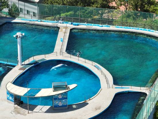 운영중단을 검토 중인 거제씨월드. 사진=핫핑크돌핀스