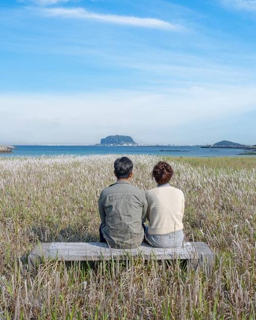 제주 바다를 바라보는 부부의 모습(사진 출처: 김민수 작가 페이스북)