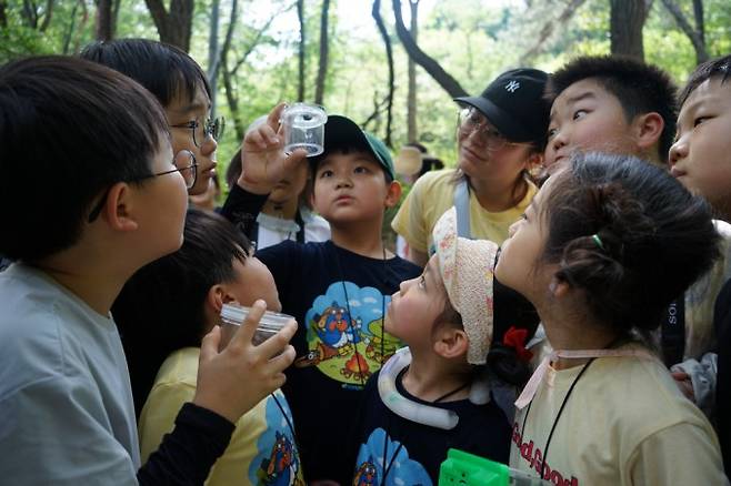 채집한 노린재를 살펴보는 탐사대원들. 어린이과학동아 제공