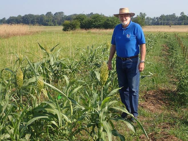 50여 년간 러브버그를 연구한 '러브버그' 전문가 놈 레플라 미국 플로리다대 곤충학과 교수. 레플라 교수 제공