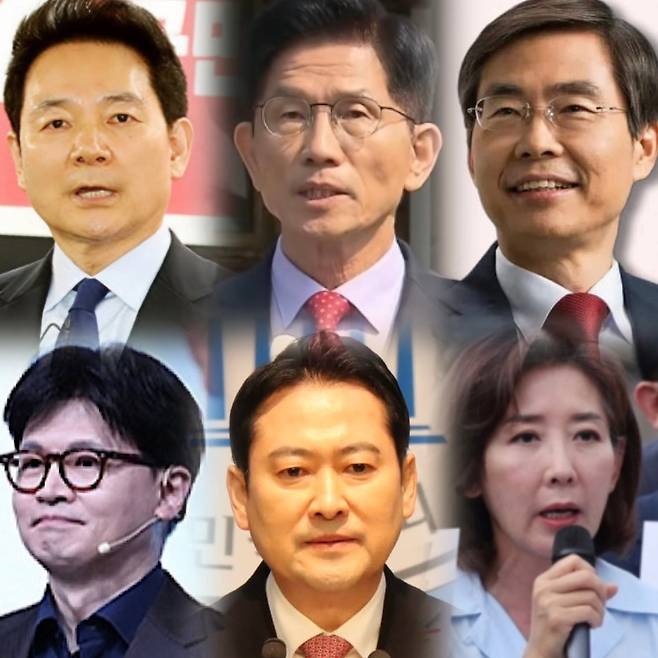 국민의힘 차기 당대표 후보군으로 거론되는 정치인들.왼쪽 위부터 시계방향으로 장성민 전 의원, 김문수 전 장관, 조경태 의원, 나경원 의원, 장동혁 의원, 한동훈 전 대표.