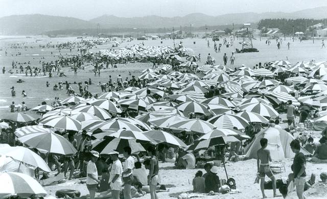 ▲ 1980년대 망상해수욕장 모습.