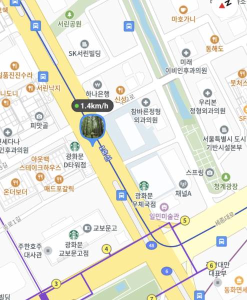 후배의 위치가 실시간으로 지도에 잡혔다. 정확했다./사진=카카오맵 캡처