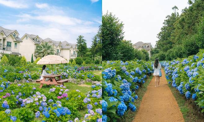 유럽풍 감성을 느낄 수 있는 새미동산. /사진=한국관광공사