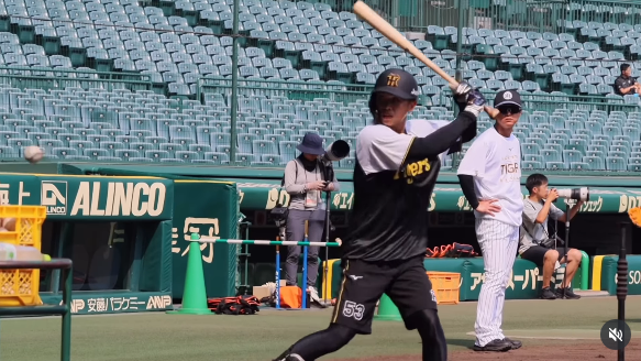 한신 타이거스 SNS