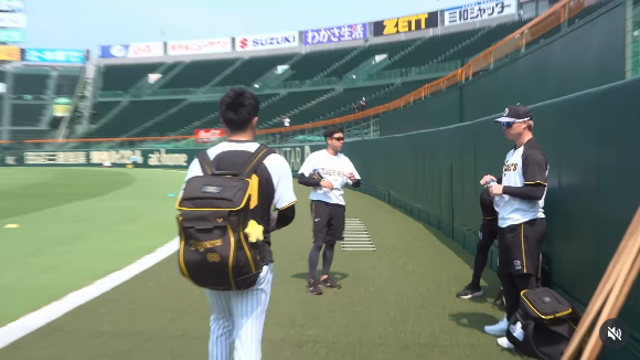 한신 타이거스 SNS