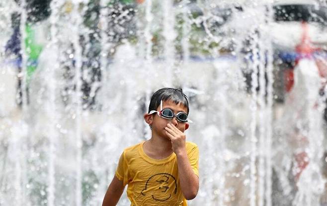 뉴스1 자료사진